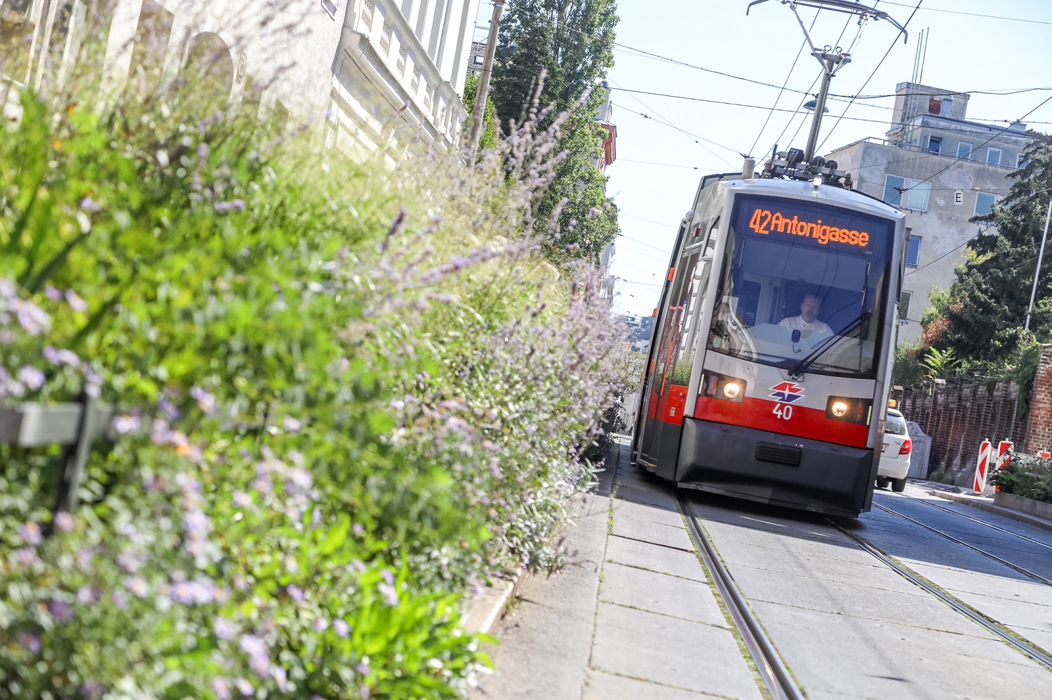 Bécsben 140 ezres bírságot lehet kapni szabálytalan parkolásért, Budapesten 10-30 ezrest