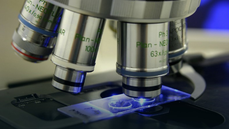 Scientists wakes & # x105; the virus before 30 thousand & # x119; of years