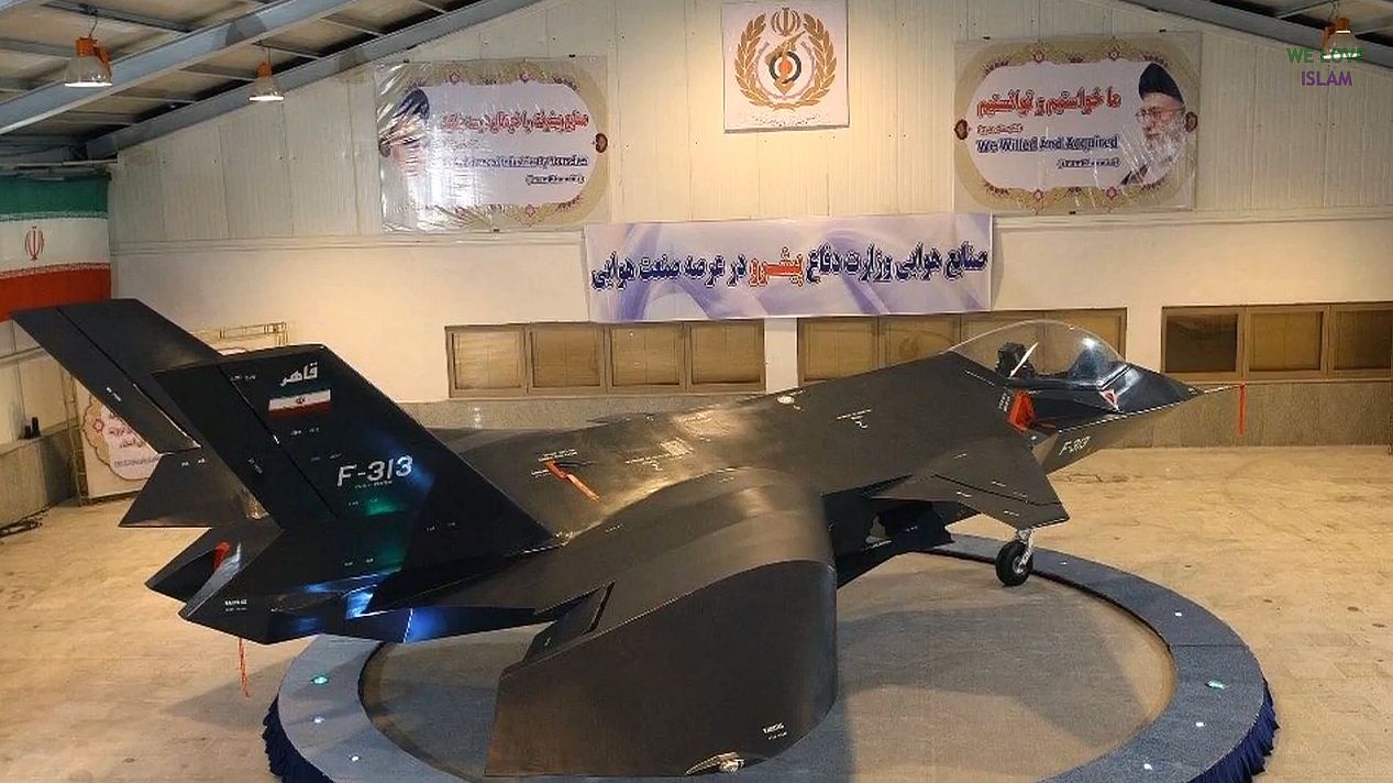 F-313