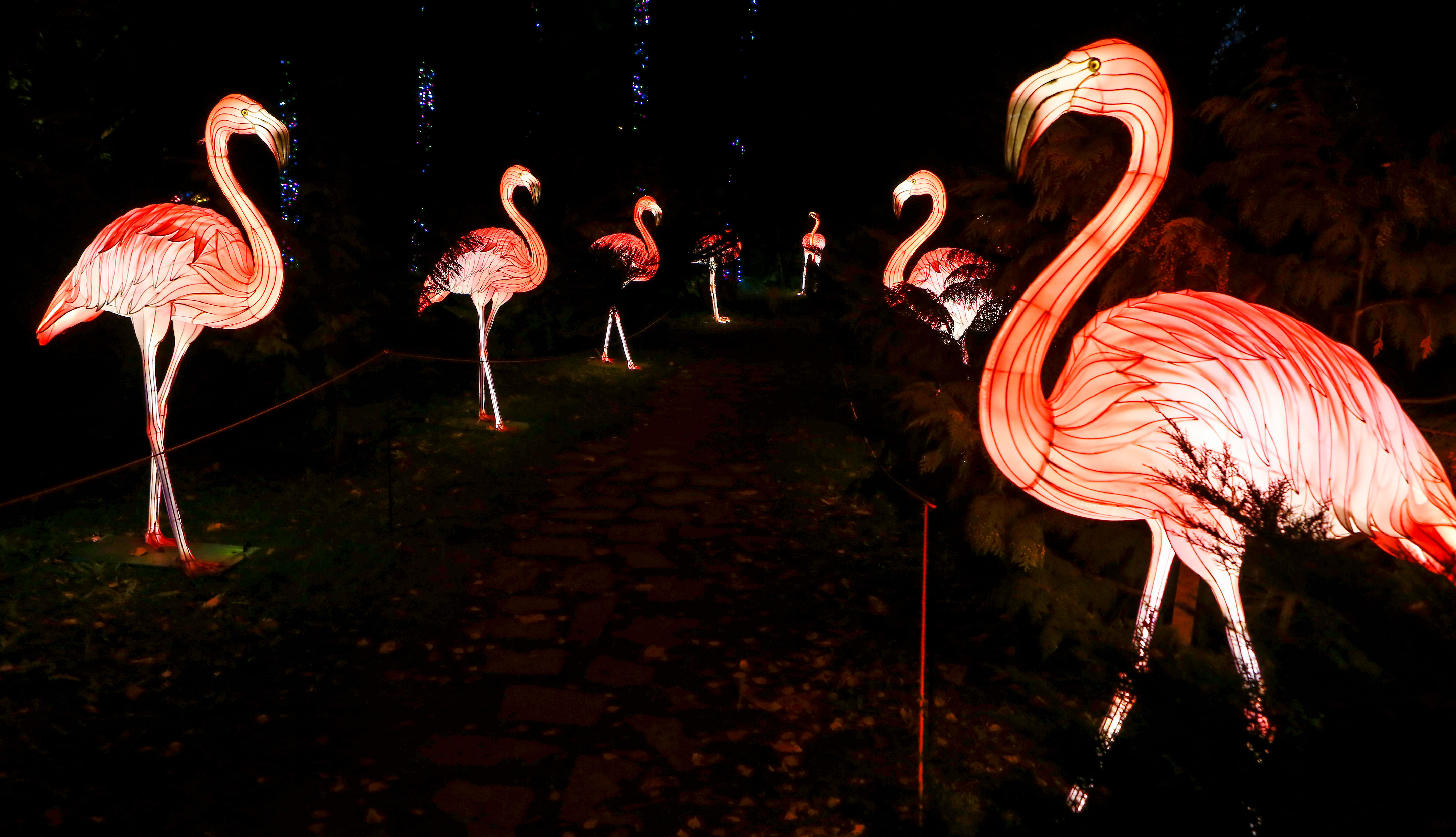A Garden of Lights a Füvészkertben hangulatos program mindenkinek