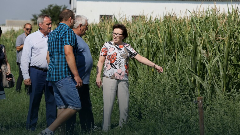 The Prime Minister Ewa Kopacz, the & # XF3; jt municipalities Raci & # x105; & # x17C; Richard Giszczak and a & # x142; a & # x15B, owner holding a touch & # x119; this drought & # x105;