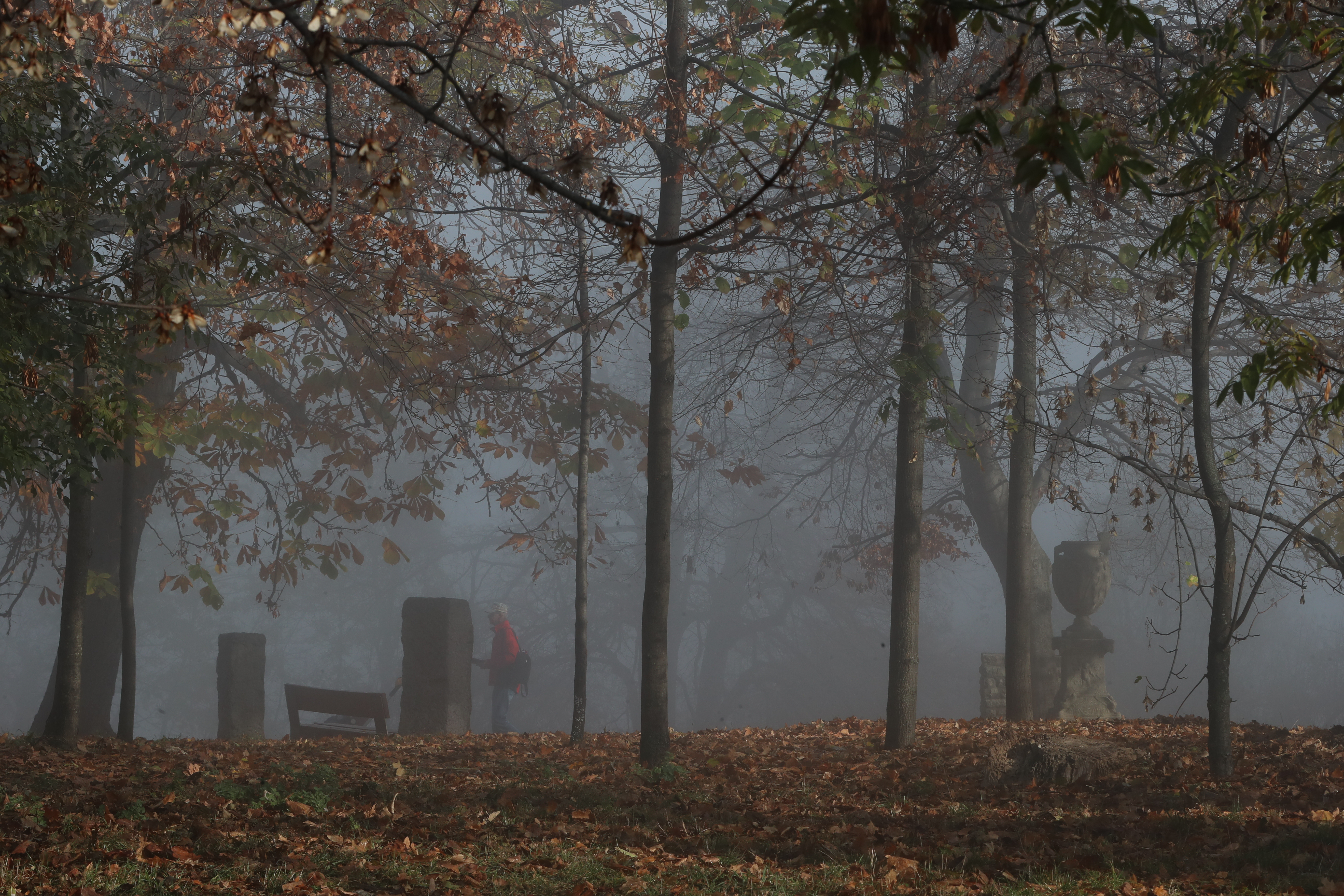 Időjárás: széllökések és esőzés – több megyére is figyelmeztetést adtak ki