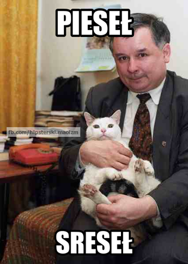 kot Jarosława Kaczyńskiego - mem