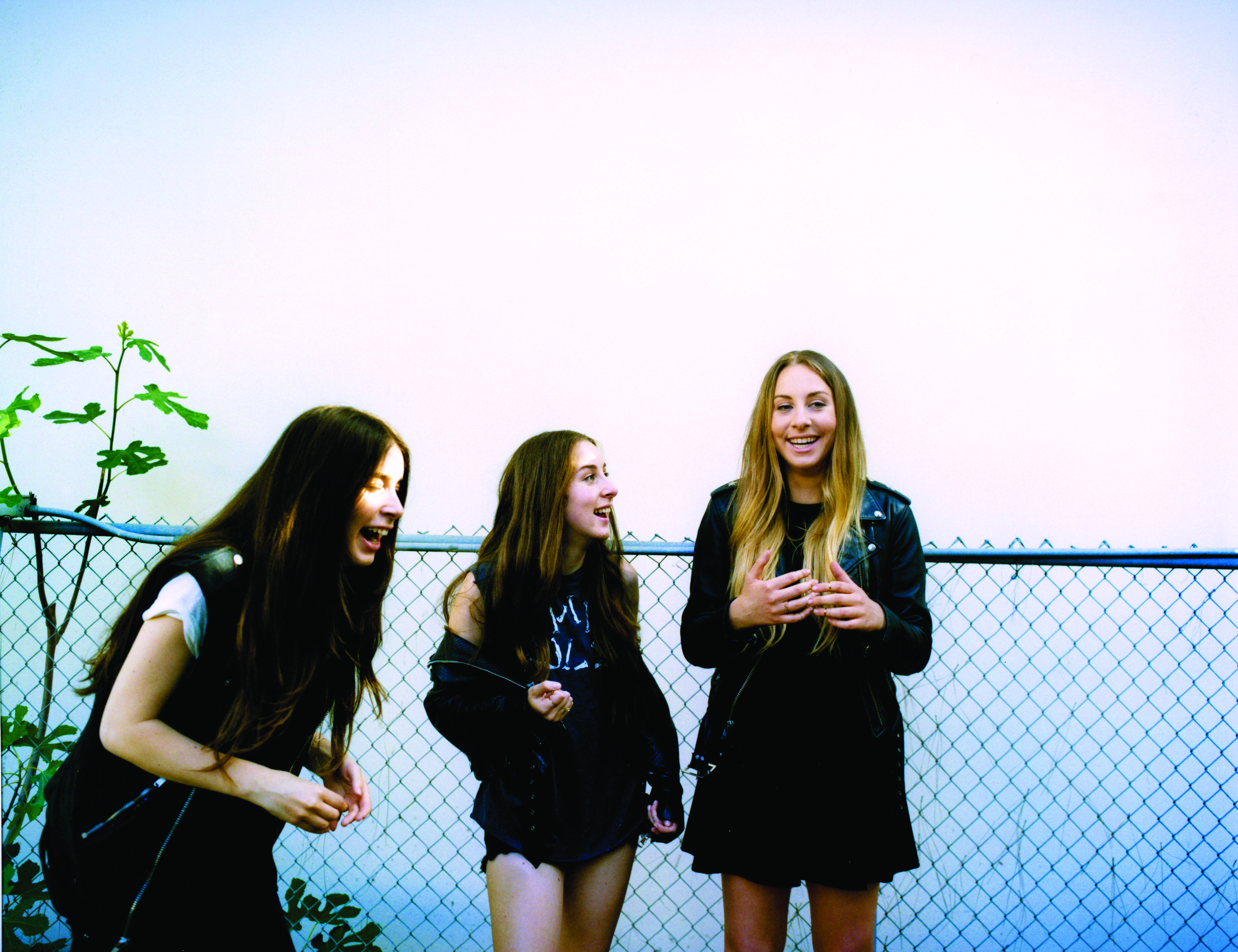 Haim