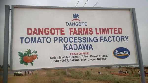 Dangote Tomato Processing Company