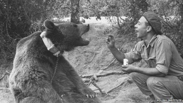 Niedźwiedź Wojtek