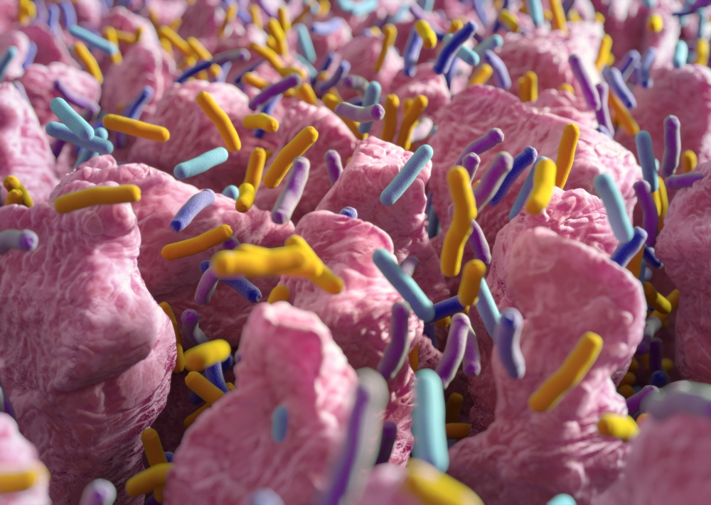 Miben van folsav? EgészségKalauz