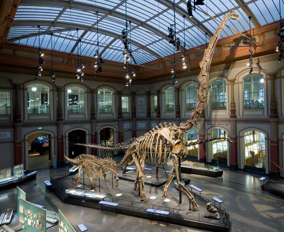 Berlin z dzieckiem - Muzeum Historii Naturalnej
