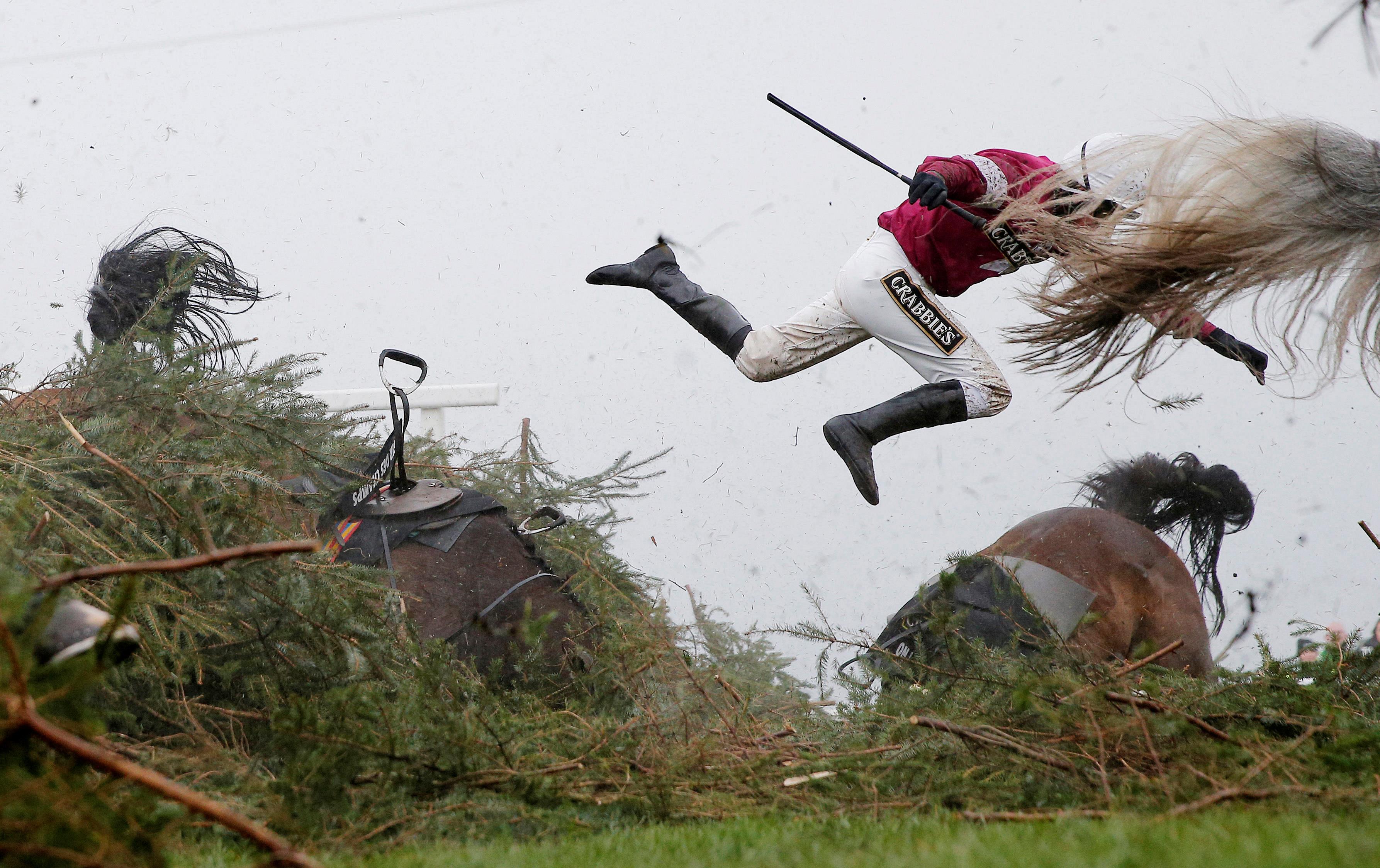 World Press Photo Awards 2017 - Sports - First Prize, Singles - Tom Jenkins, The Guardian - Grand Na