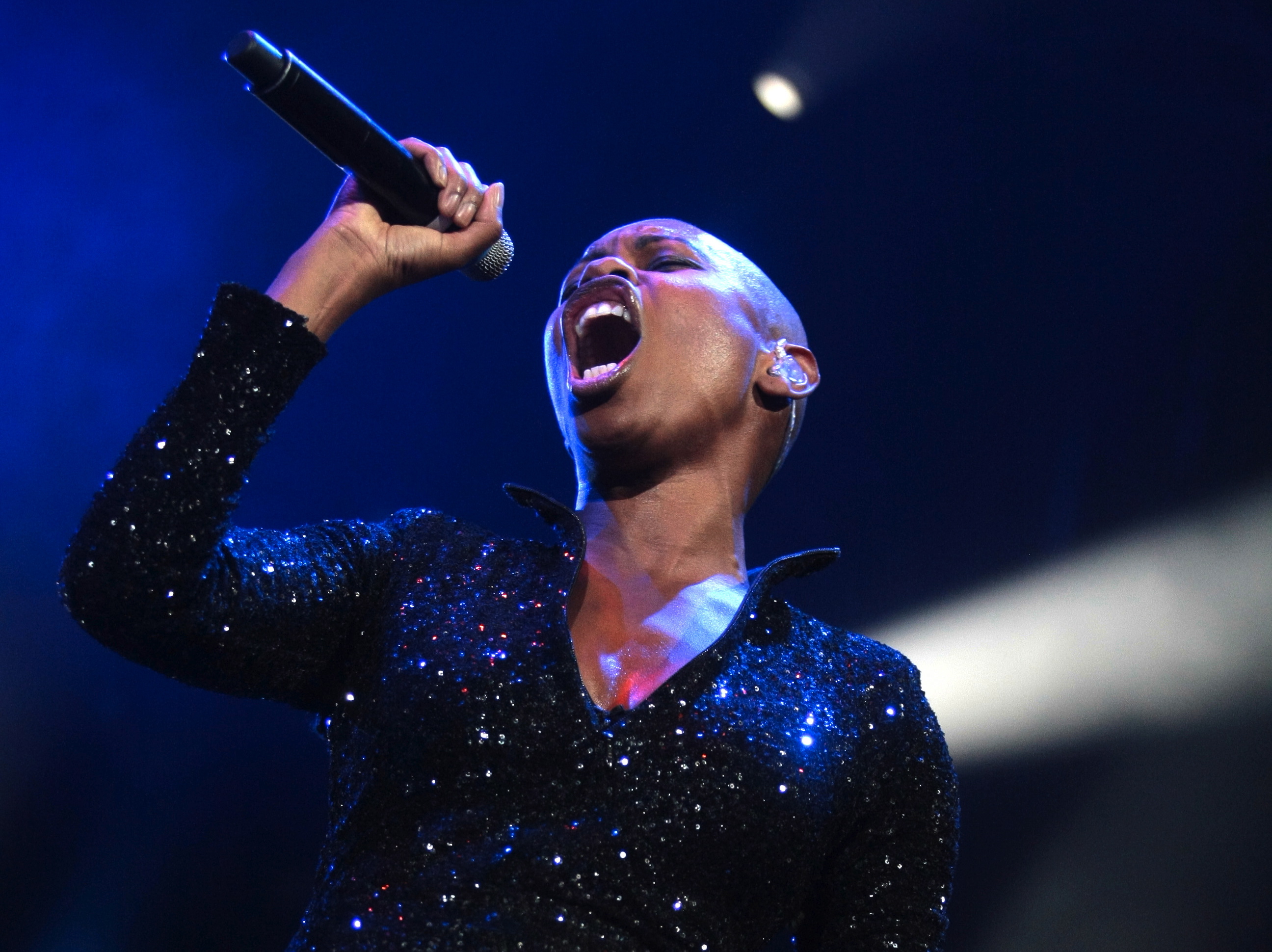 Skunk Anansie
