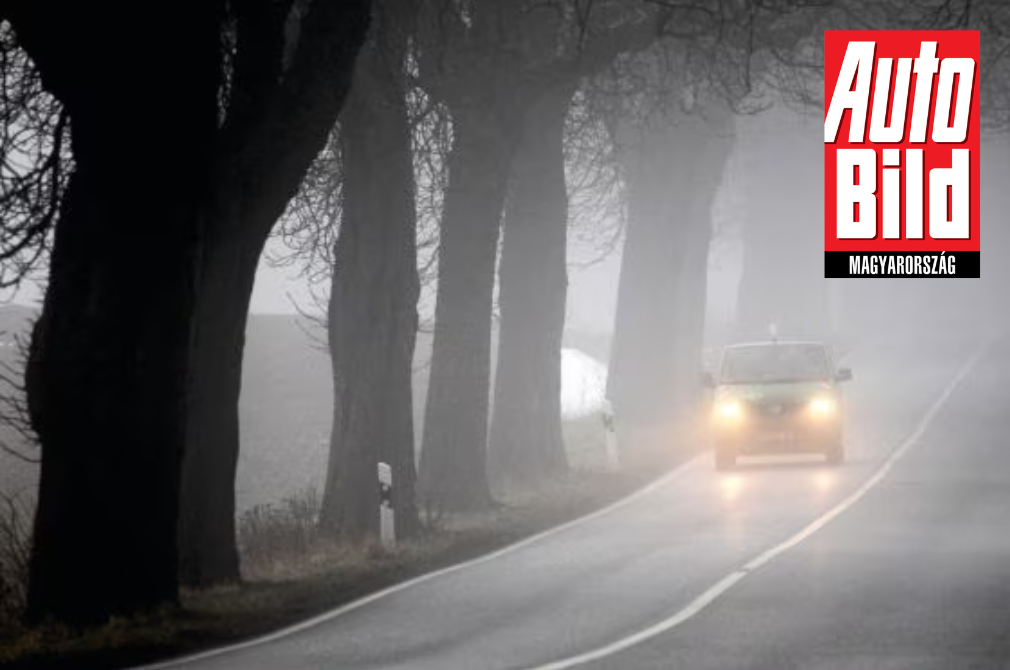 Reggeli köd? Rá se rántson - főleg a kormányra ne! Vezetési tippek őszi reggelekre