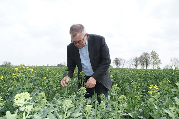 - Nie pytałem brata o zgodę - śmieje się w rozmowie z Dziennik.pl Maciej Mojzesowicz. Fakt, że jego nazwisko opinii publicznej bardziej kojarzy się z byłym ministrem rolnictwa w rządzie Jarosław Kaczyńskiego, wcale mu nie przeszkadza - Ja też mam sukcesy na koncie, od lat działam w