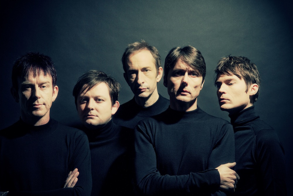 Suede na zdjęciach do