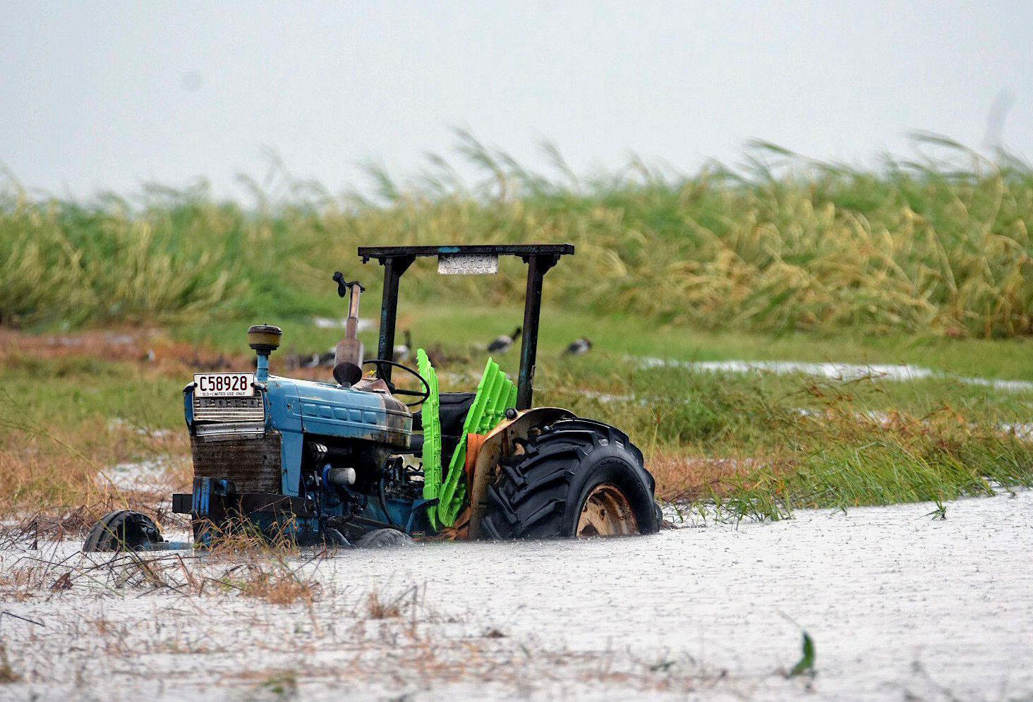A tractor sits in a flooded sugar cane field after Cyclone Debbie passed through the area near the n