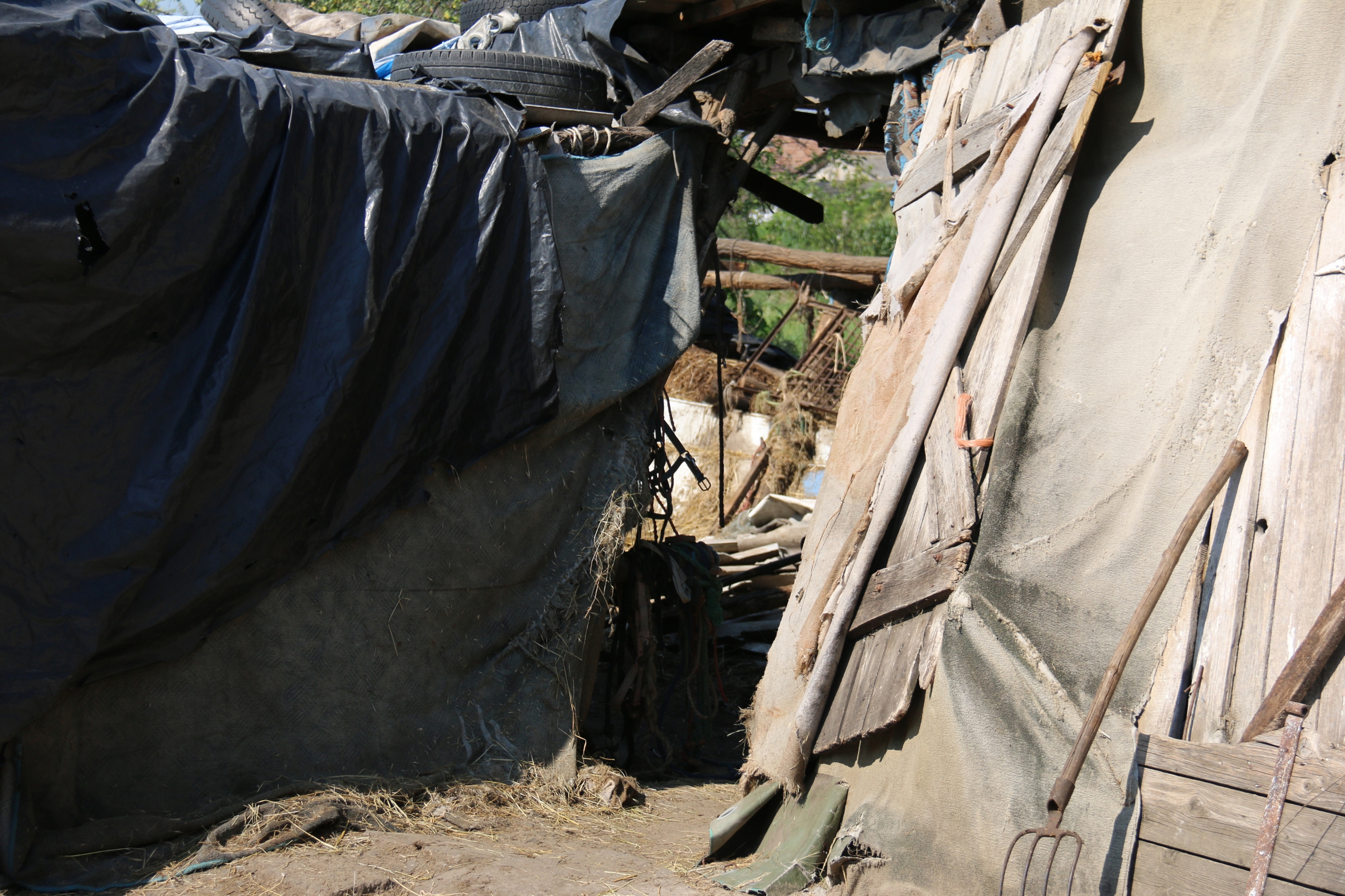 Sokkoló: anya és fia több mint egy évtizeden át kényszeríthettek munkára egy férfit Fejér vármegyében, lecsaptak rájuk a rendőrök – videó