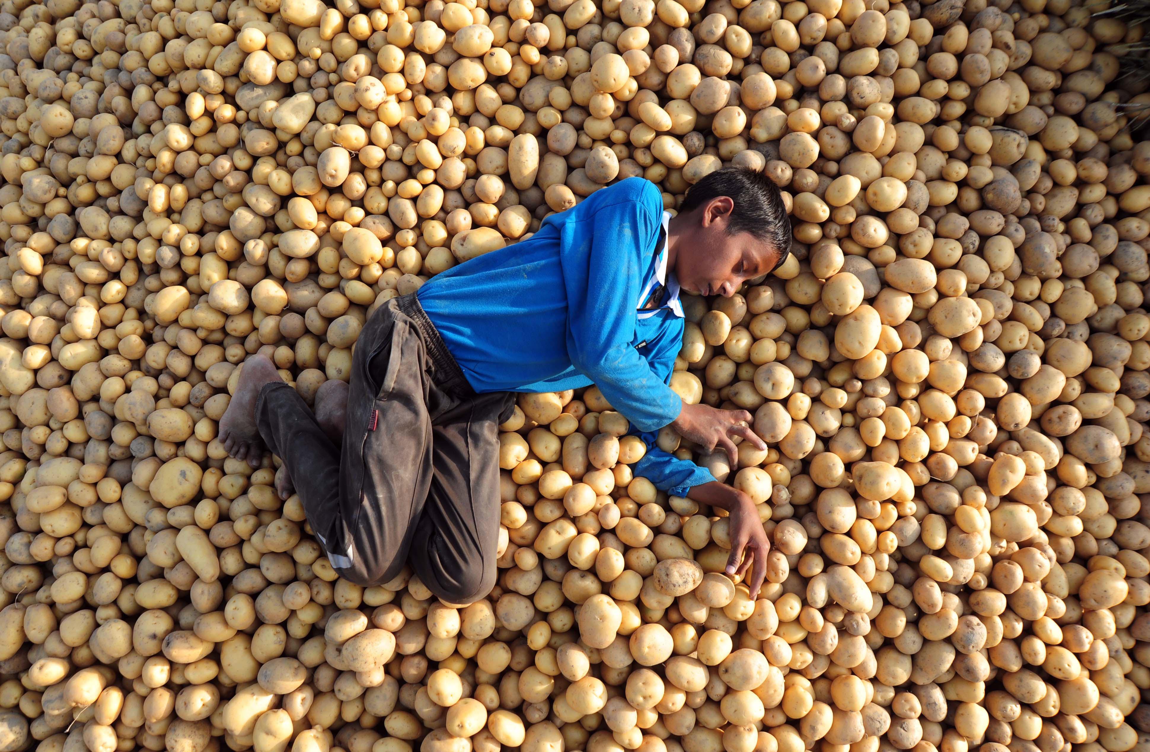 Farming In India