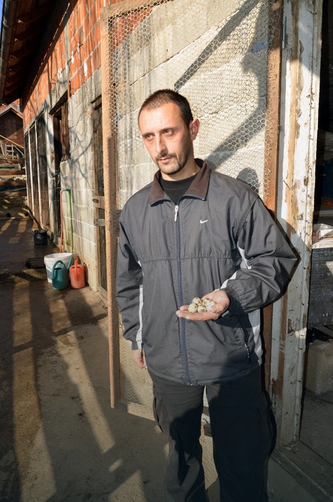 Mladen Goronjić