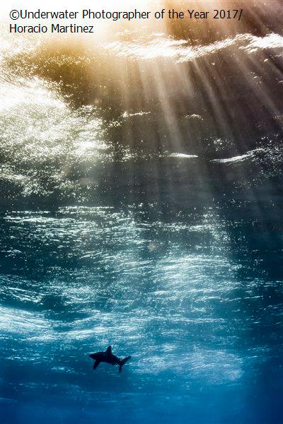 2017 Underwater Photographer of the Year