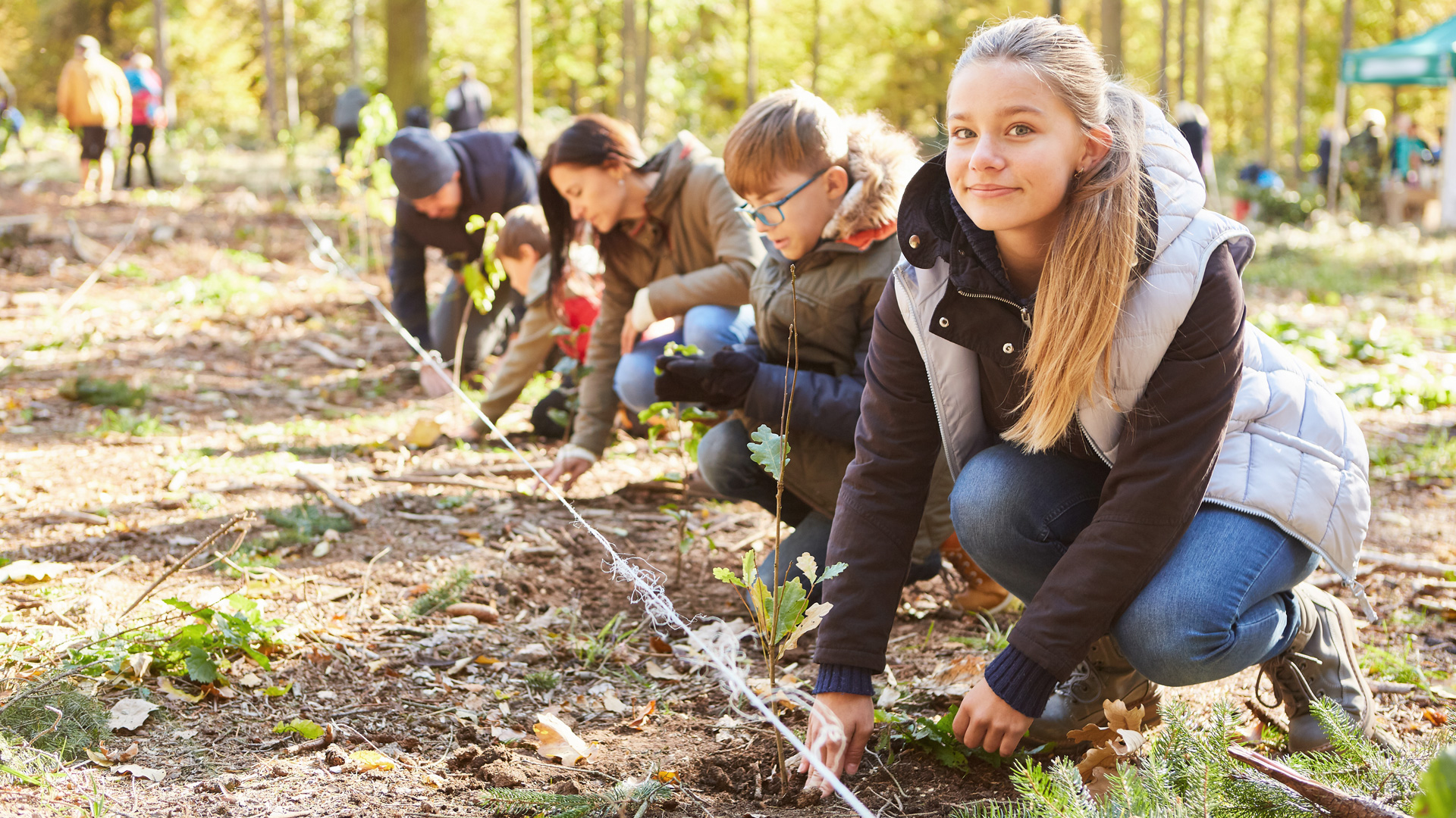 Faültetéssel nevelnék a diákokat a környezetvédelemre