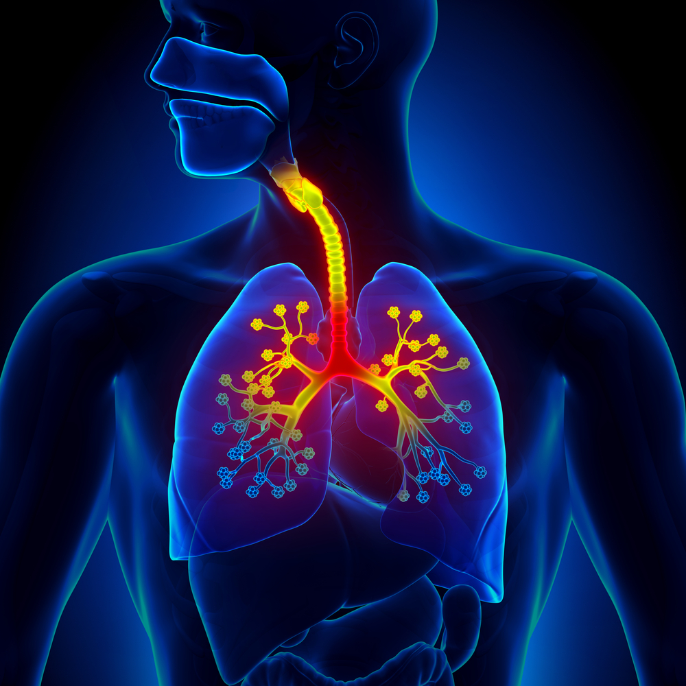 COPD (krónikus obstruktív tüdőbetegség)