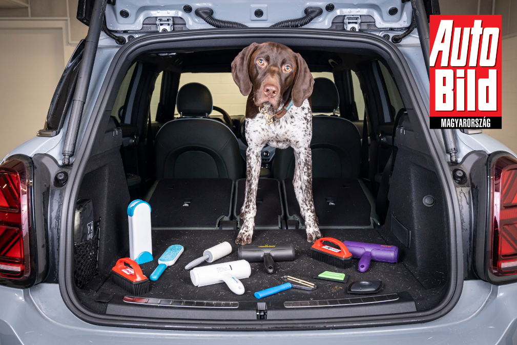 Így takarítsa ki a kutyaszőrt az autó szőnyegekből és kárpitból - Blikk