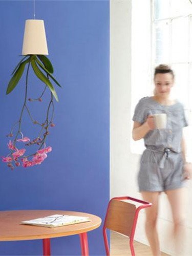 Sky Planter