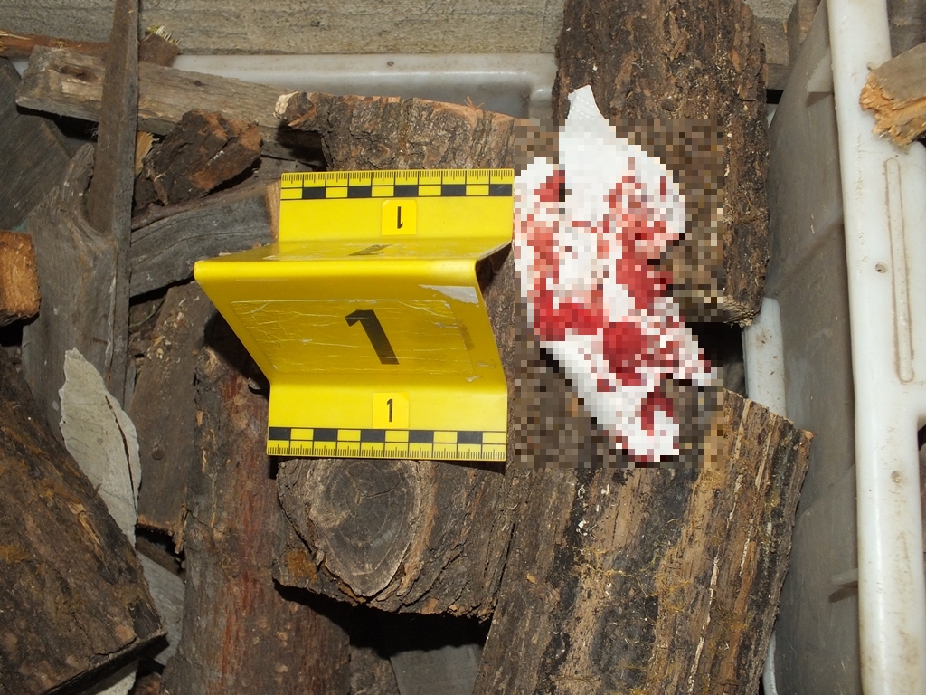 Elfajult a vita: kis híján halálra késelte az élettársát egy nő Gödöllő környékén – fotók