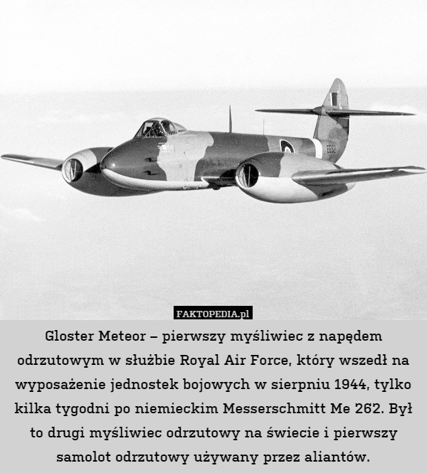 Lotnicze ciekawostki z Faktopedii