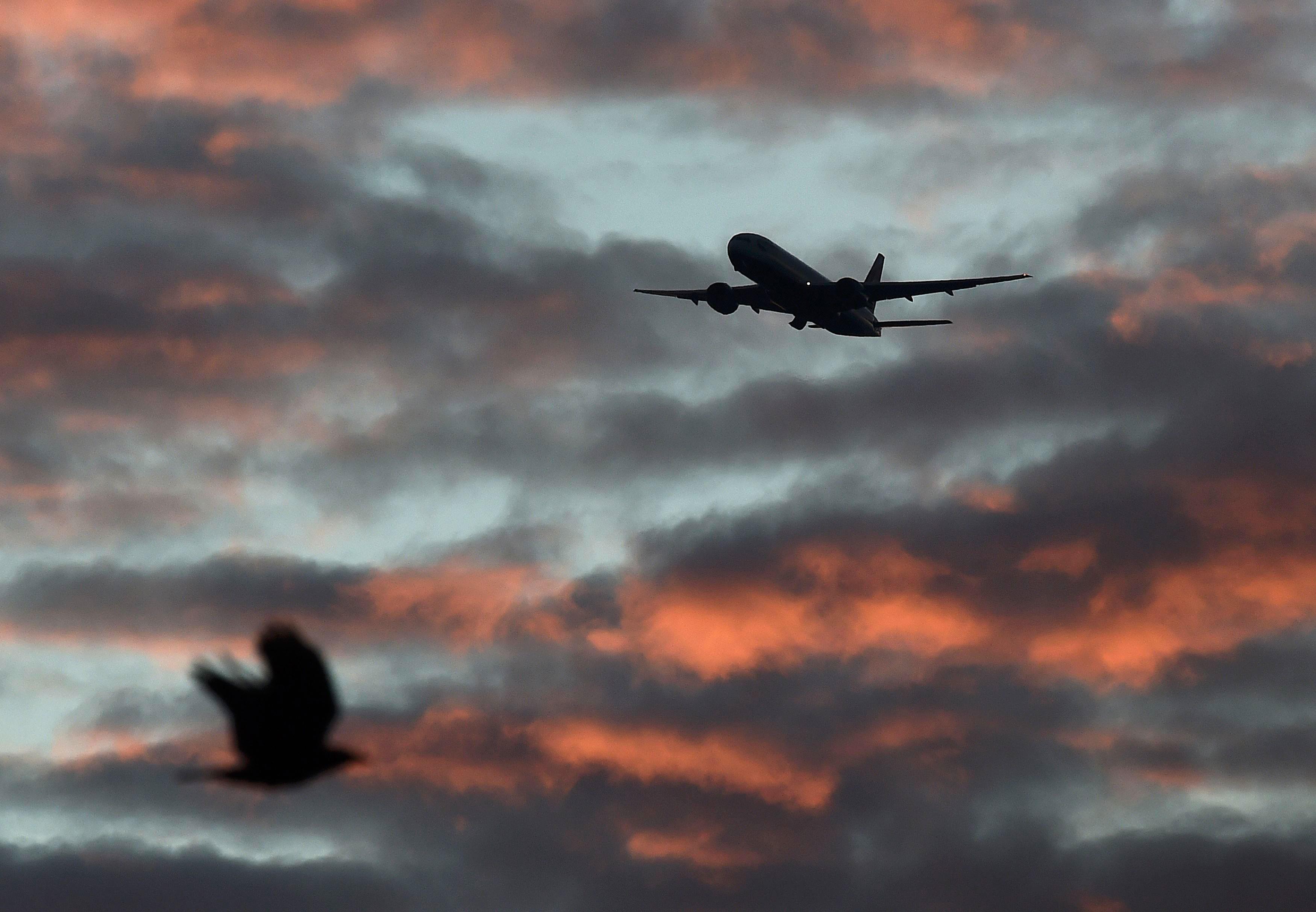 A bird passes in the foreground as a passenger aircraft makes it's final landing approach towards He
