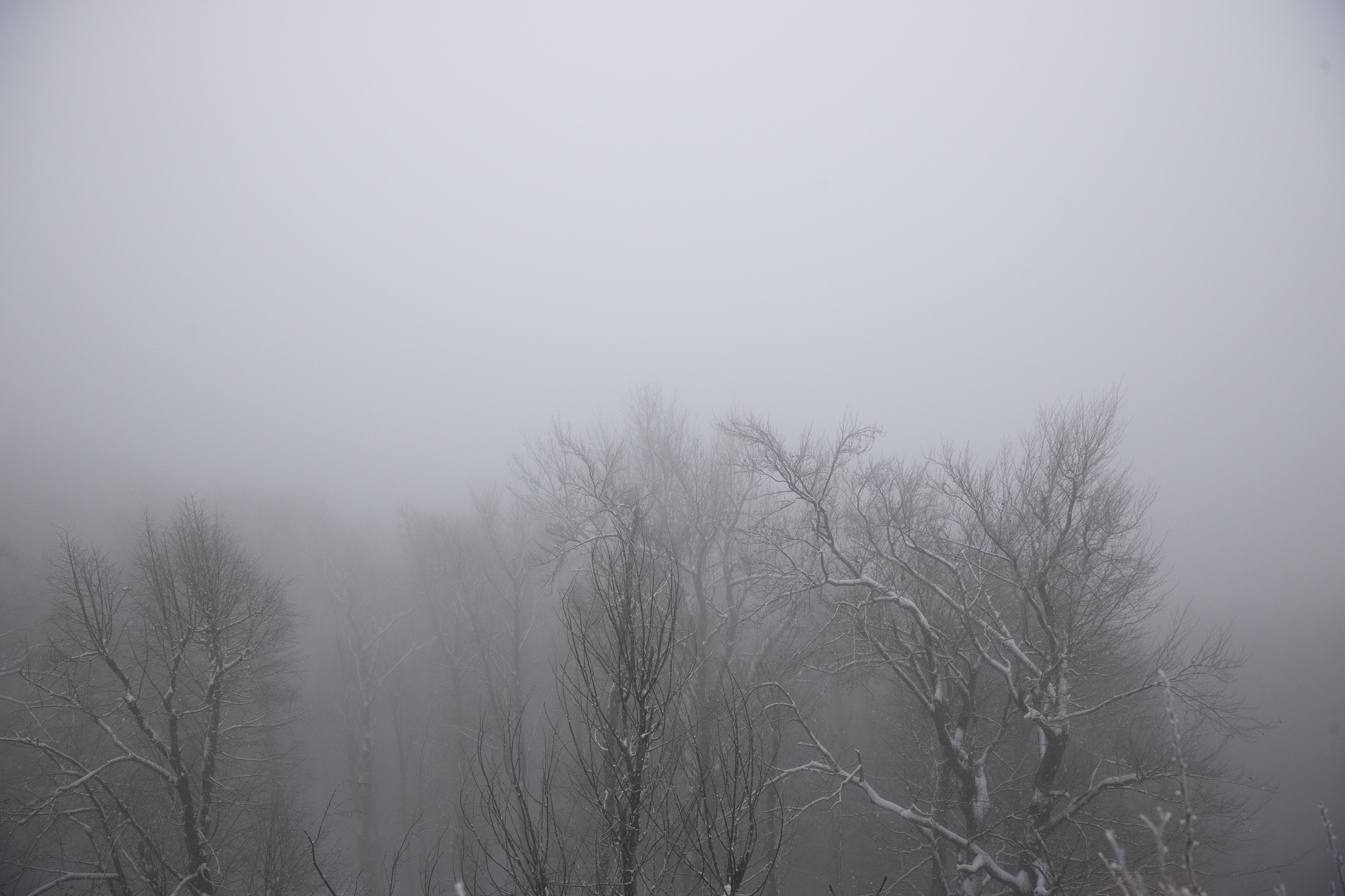 Hétfőn már érkeznek az első fagyok Magyarországra: itt a friss előrejelzés, semmi jóra ne számítsunk!