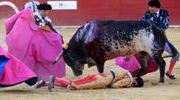 Byk zabił matadora na oczach jego żony