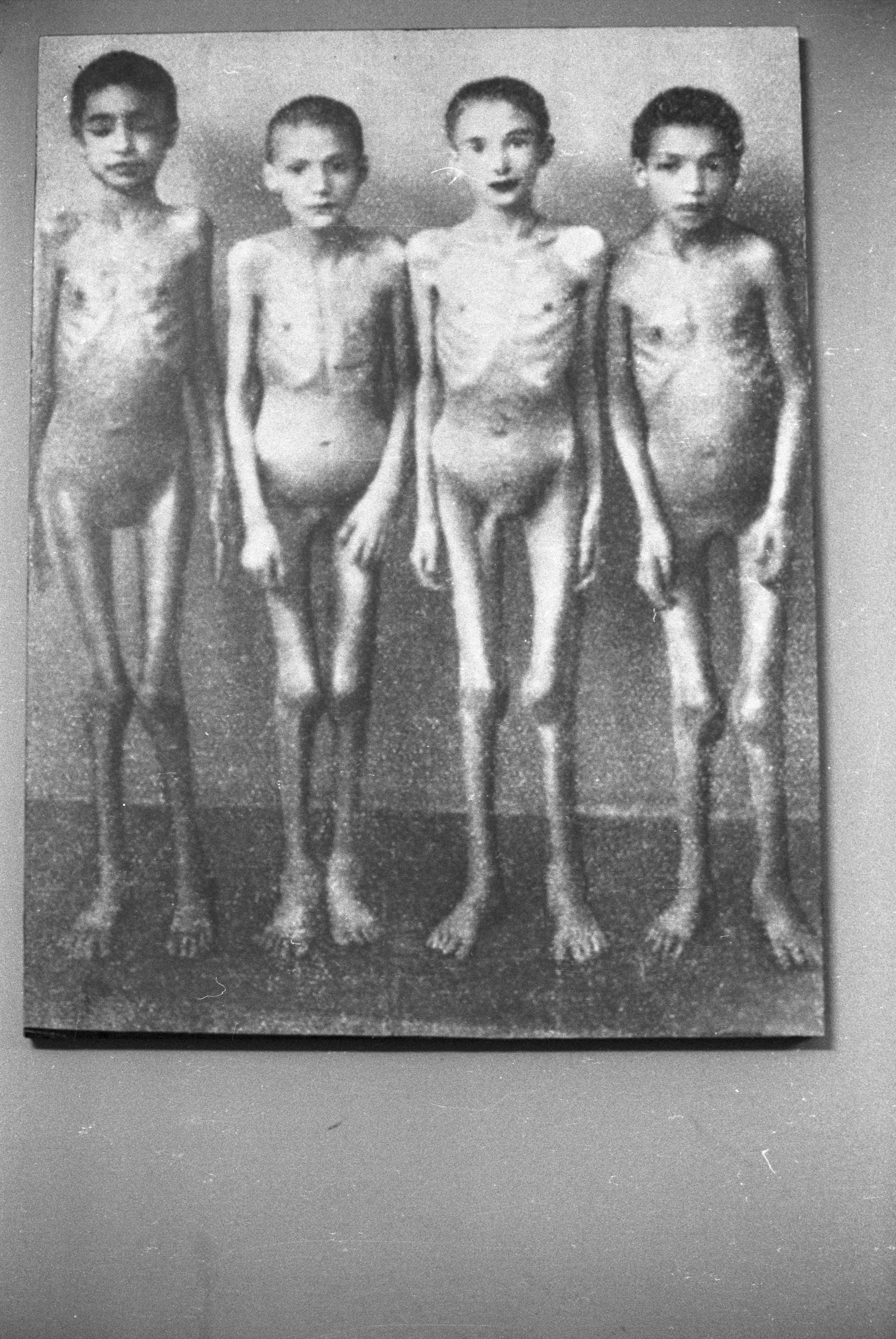 Dzieci - więźniowie obozu zagłady, zbiory Państwowego Muzeum Auschwitz-Birkenau Oświęcim