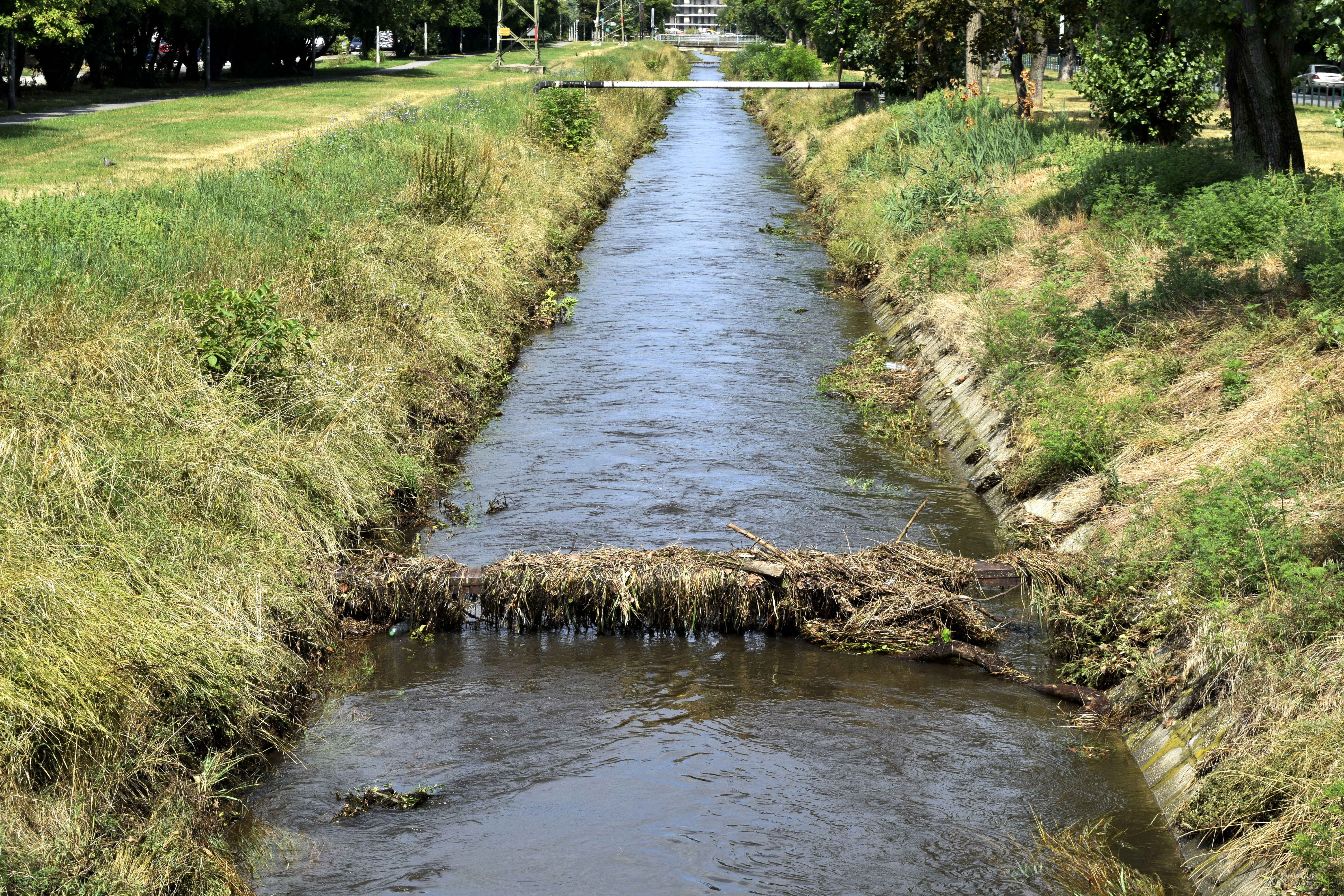 Akkora az áradás a rákos-patakon, hogy evezni lehet: videón ahogy egy férfi csónakkal vág neki a pokoli útnak