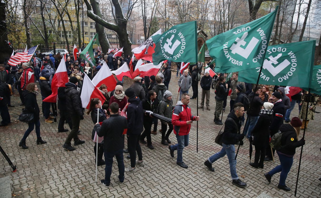 Wśród demonstrantów widoczne były liczne i zorganizowane grupy Obozu Narodowo-Radykalnego i Młodzieży Wszechpolskiej. Ponadto widać było m.in. kluby