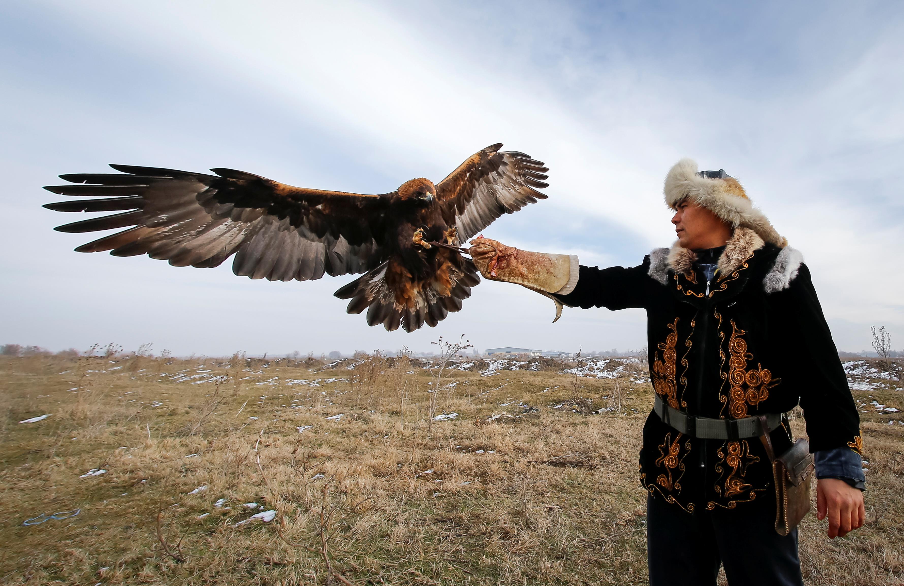 Arman Kushkarov raises a hand for landing of his tamed bird during training outside of the village o