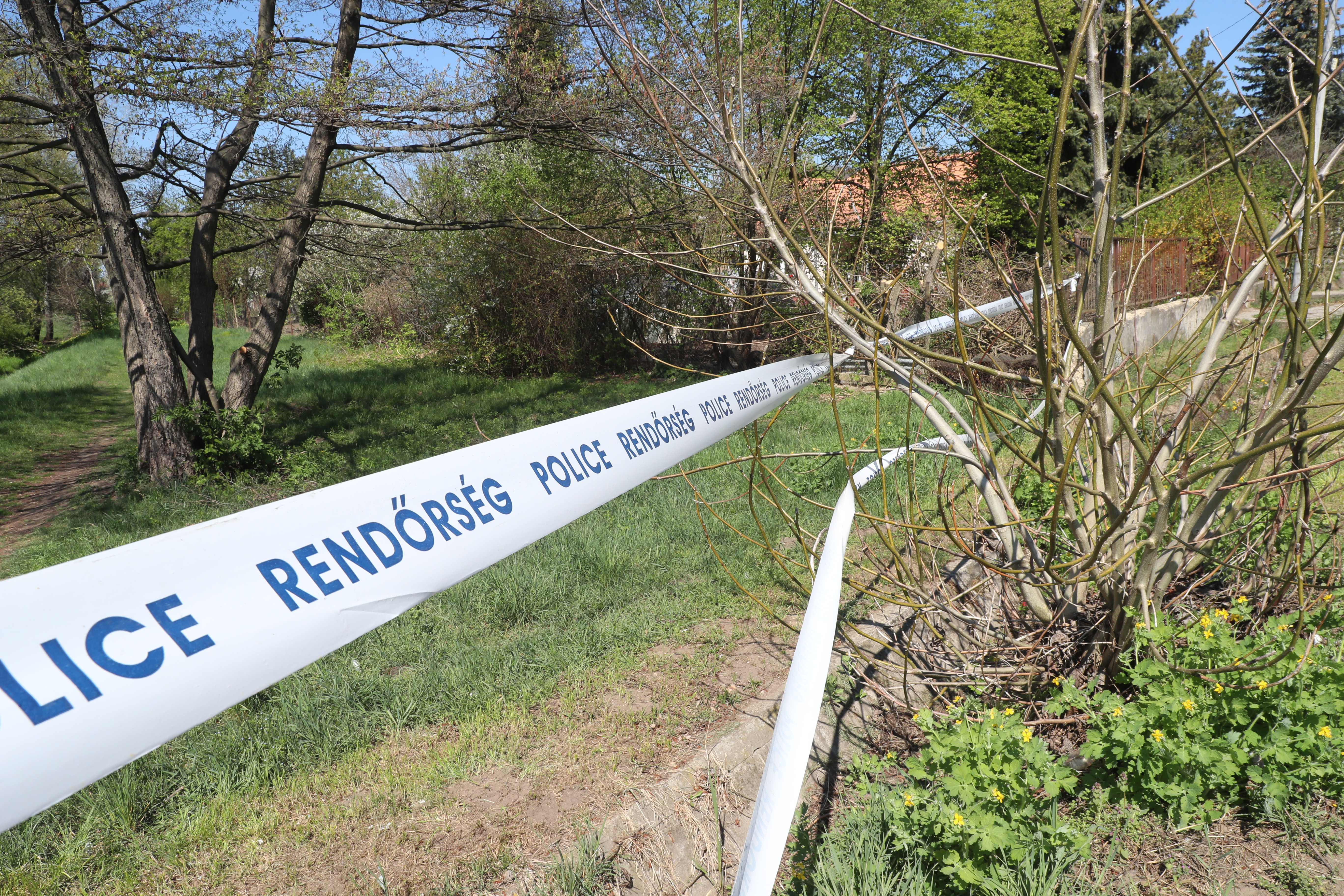 A rendőröknek köszönheti az életét: a Völgységi-patakból húztak ki egy férfit