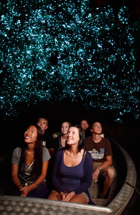 Waitomo Glowworm Caves - jaskinie świecących robaczków