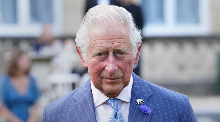 A súlyos beteg III. Károly király szívszorító üzenetet küldött Vilmosnak és Harrynek