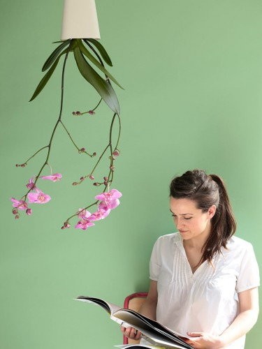 Sky Planter