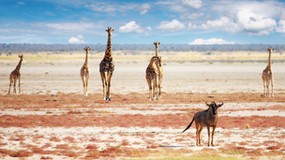 Gdzie jechać na wakacje w 2015 roku? Najlepsze miejsca wg Lonely Planet's Best in Travel 2015