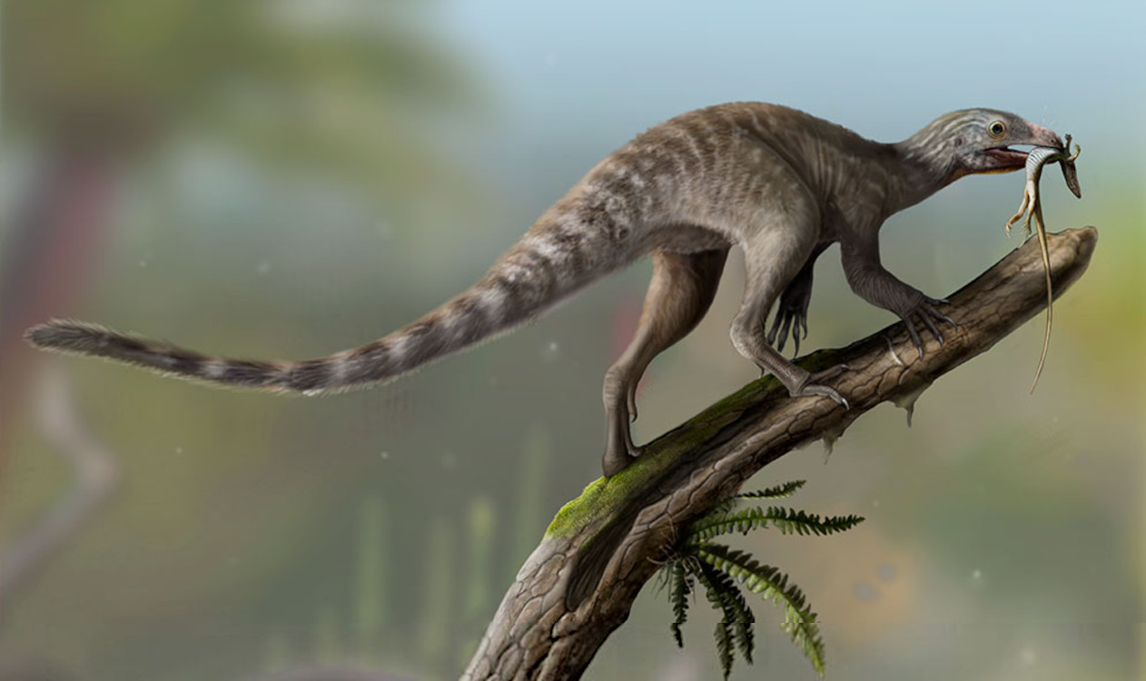 Brazíliában felfedezték Ollókezű Edward dinoszaurusz mását