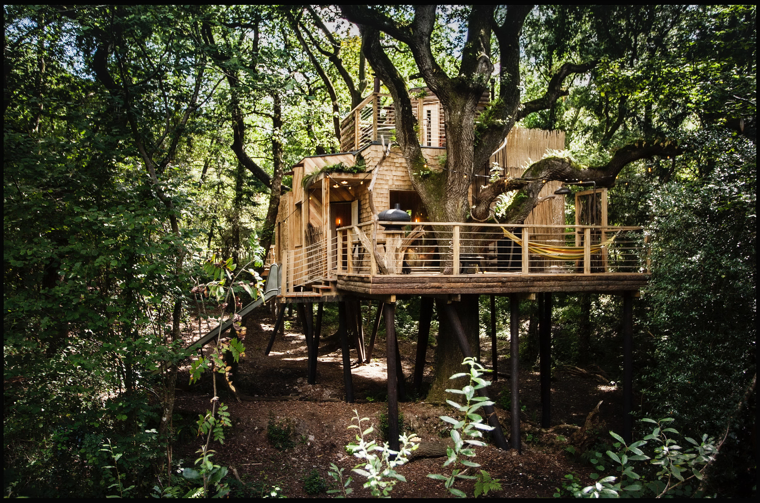 Elkészült az igazi Tarzan-ház - Ön lakna egy fa tetején? - Blikk