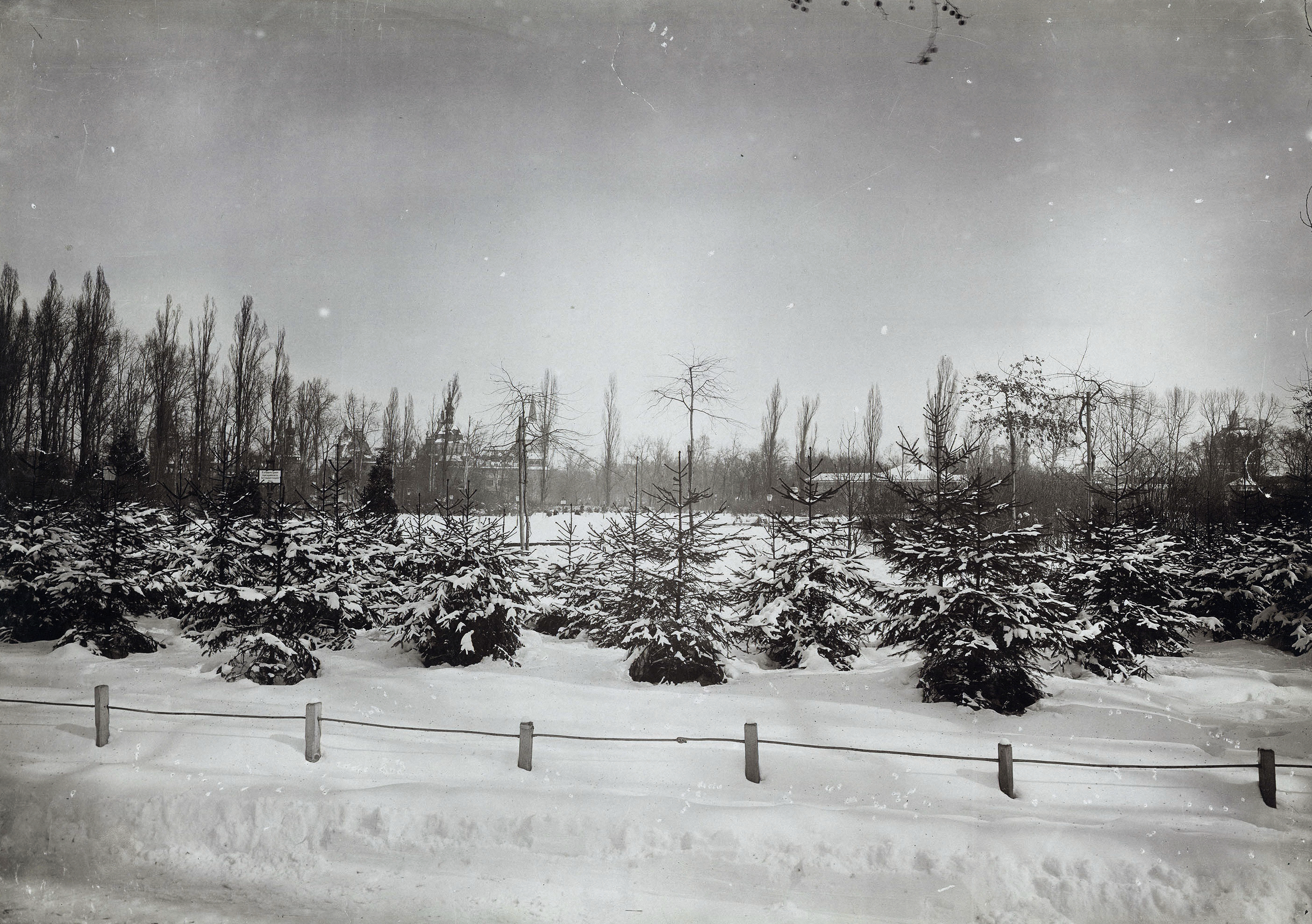 Vödörrel locsolás, tojáskeresés: így ünnepeltük régen a húsvétot – retro fotók