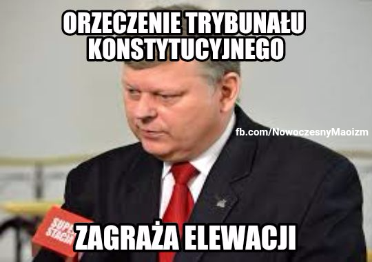 memy, trybunał konstytucyjny