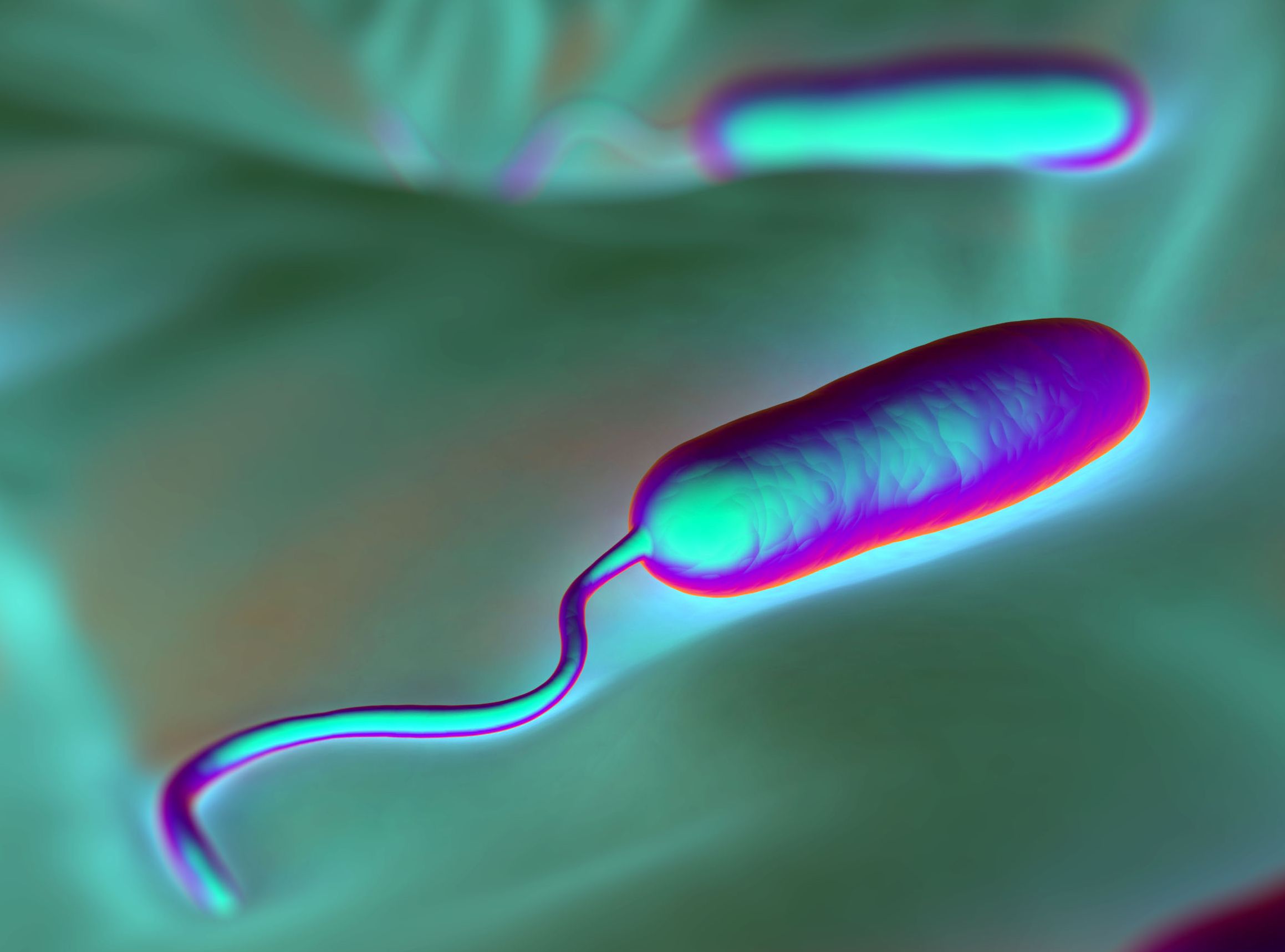 8. Cholera