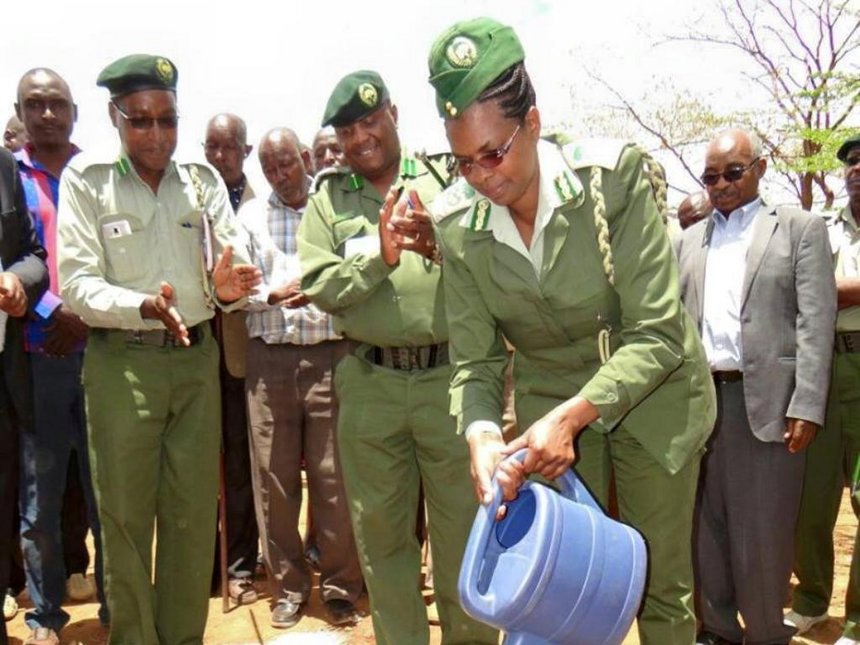 Deputy Chief Conservator of forest who is in charge of forest conservation Charity Muthoni waters a tree after planting