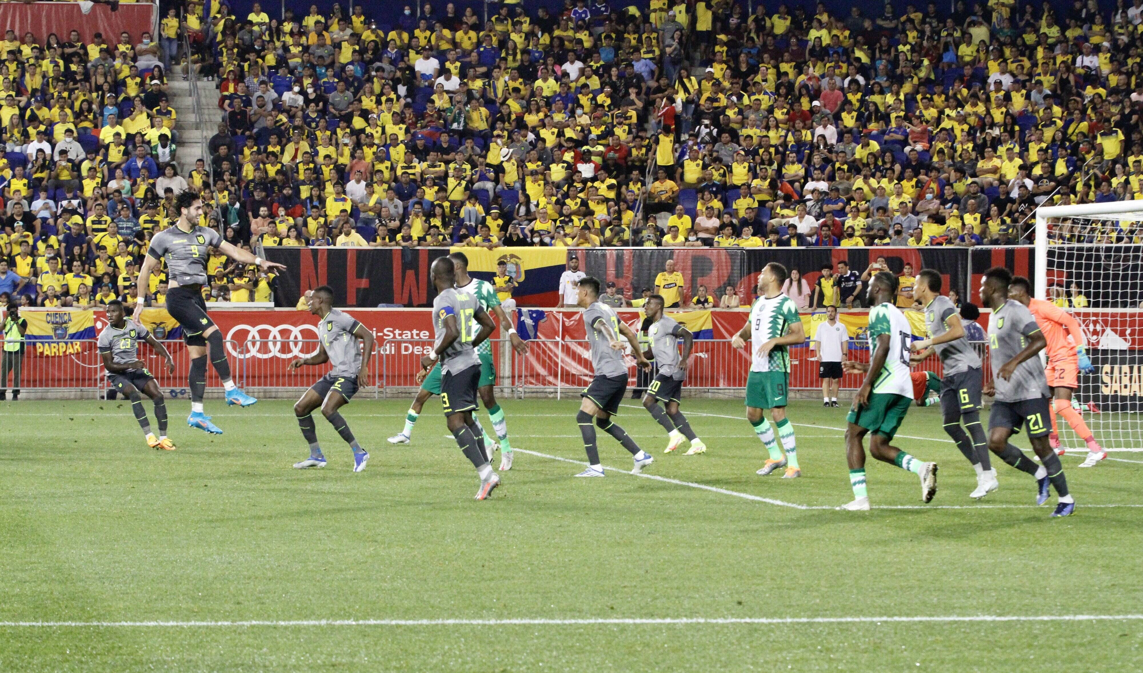 Jose Peseiro's Super Eagles suffered a 1-0 loss to Ecuador thumbnail