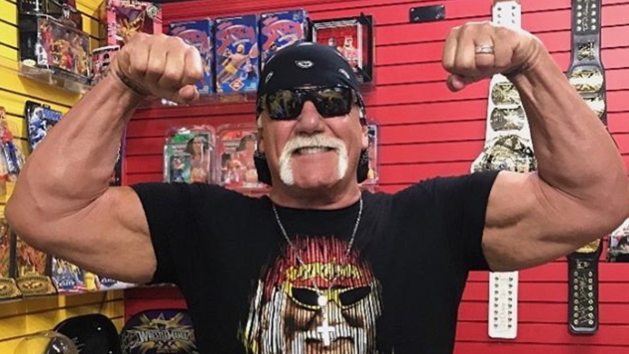 Wrestling Legende Hulk Hogan Wieder In Der Hall Of Fame Noizz