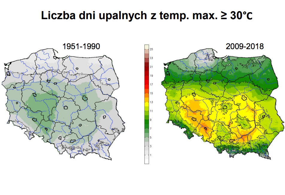 Zrzut ekranu 2019-07-12 o 095909