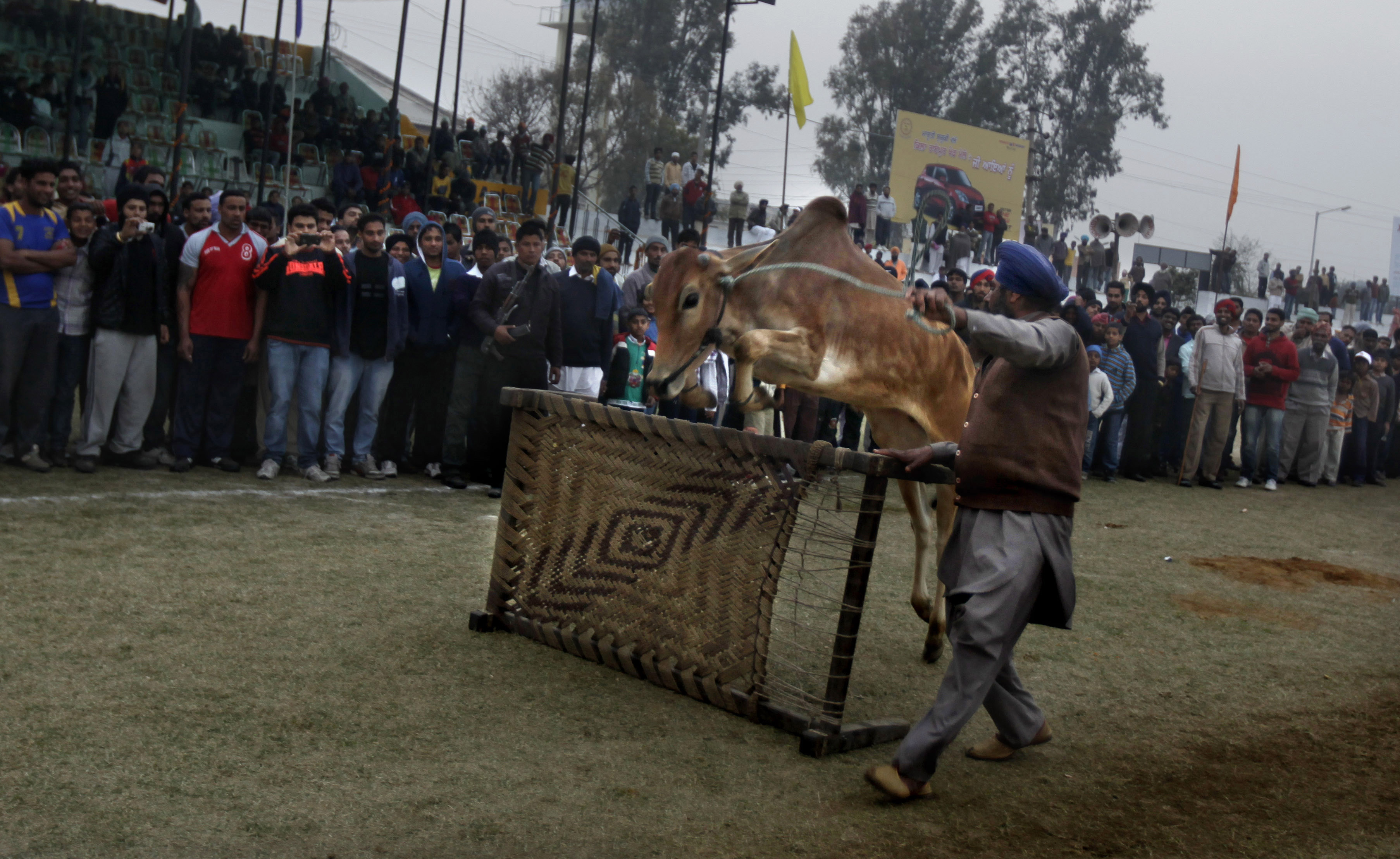 Kila Raipur, stan Pendżab, 11 lutego 2013 roku